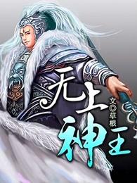无上神王境界 无上神王境界