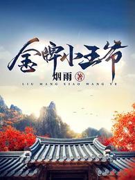 金牌小王爷之风起朝堂全集